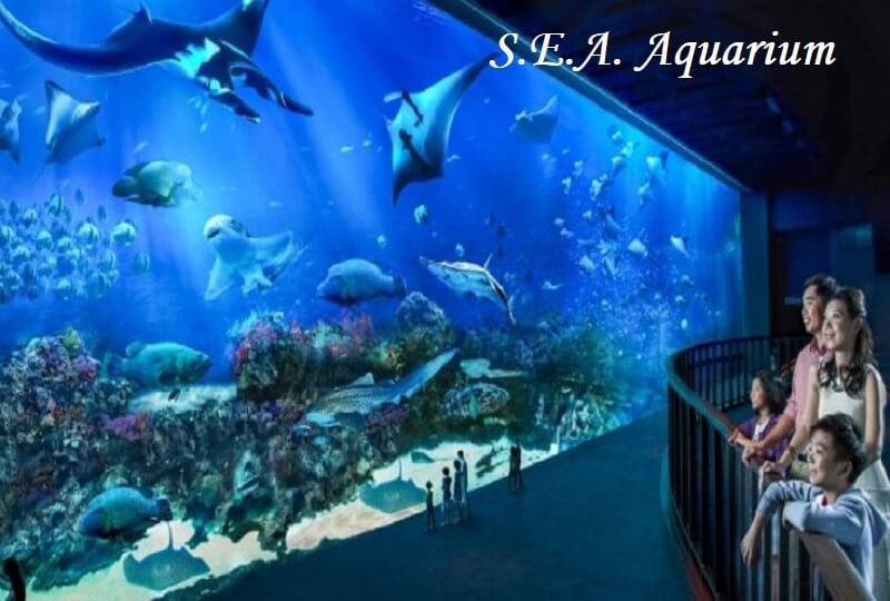 S.E.A. Aquarium